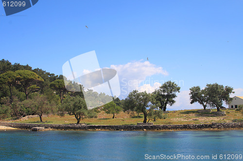 Image of Gaios in Paxos