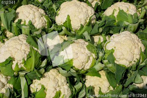 Image of Cauliflower on market