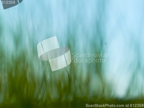 Image of Abstract Grass