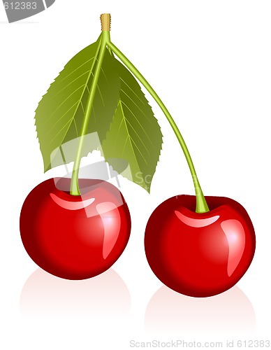 Image of Cherries