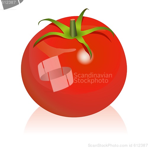 Image of Tomato