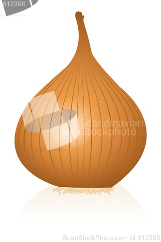 Image of onion