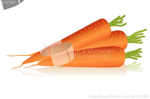 Image of carrots