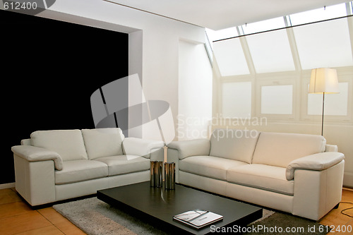 Image of Two leather sofas