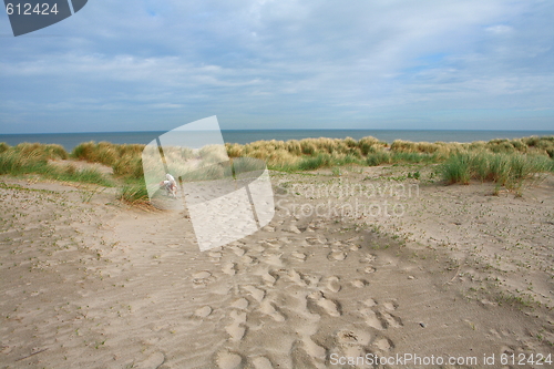 Image of Dunes