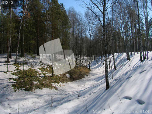 Image of Ravine under the Snow