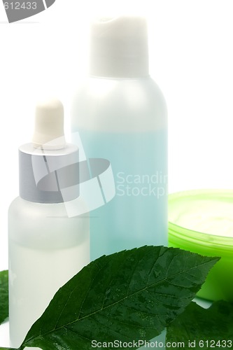 Image of cosmetic products with green leaf