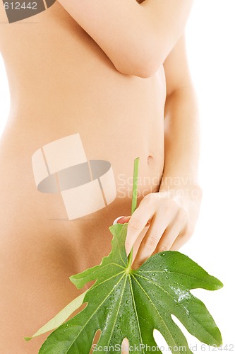 Image of female torso with green leaf over white