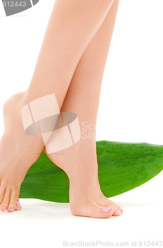 Image of female legs with green leaf