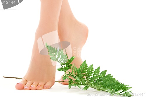 Image of female feet with green leaf