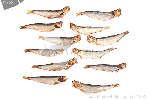Image of fishes
