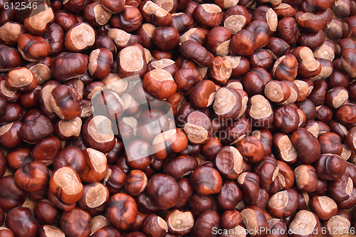 Image of chestnuts background