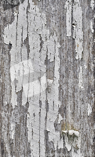 Image of old grungy wood background texture