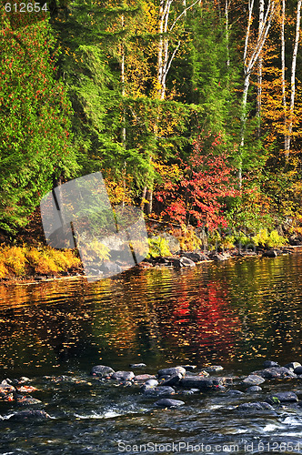 Image of Fall forest and lake shore