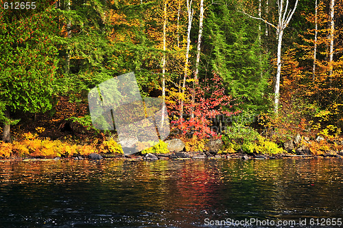 Image of Fall forest and lake shore