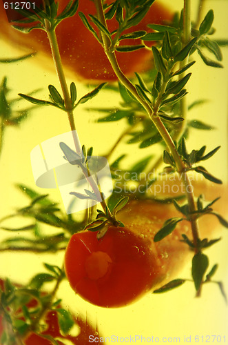 Image of Chillies And Thyme 2
