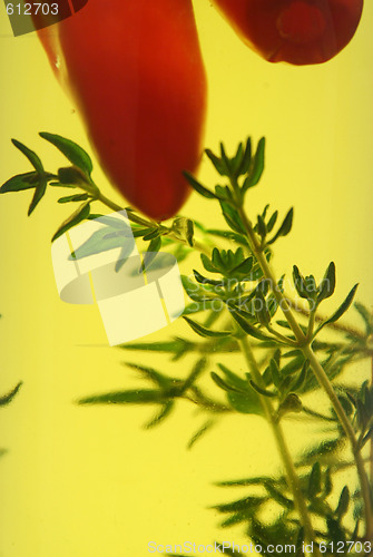 Image of Chillies And Thyme 4