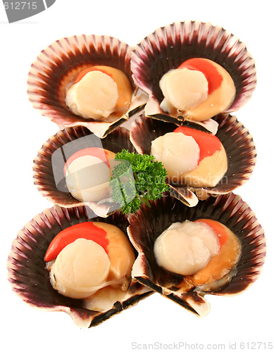 Image of Fresh Sea Scallops