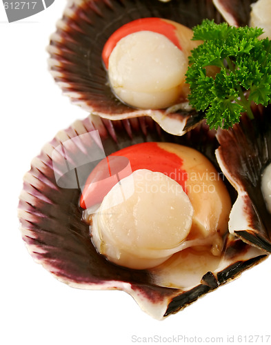 Image of Fresh Sea Scallops