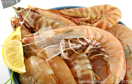 Image of Fresh Green Shrimps