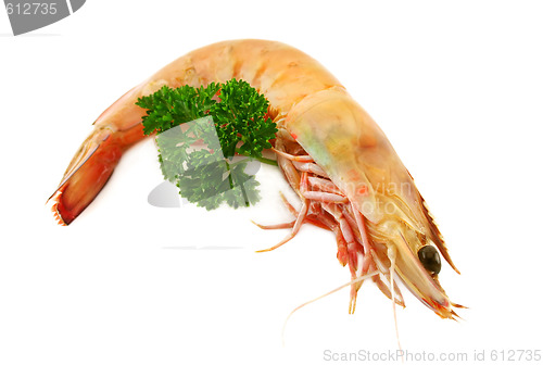 Image of Prawn And Parsley