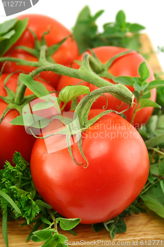 Image of Tomatoes And Herbs 