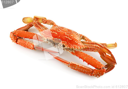 Image of Cooked Sand Crab