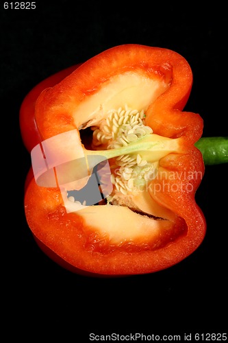 Image of Cutaway Capsicum
