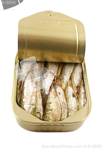 Image of Can Of Sardines