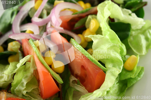 Image of Salad Background 3