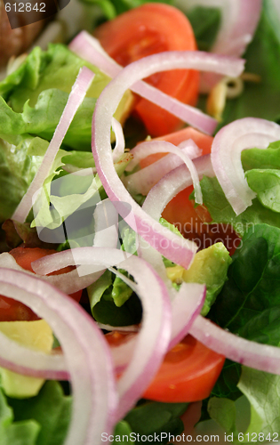 Image of Salad Background 5