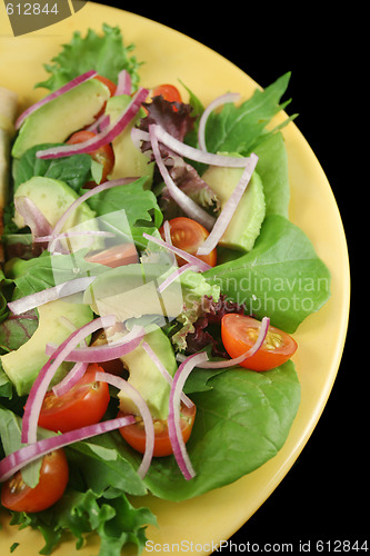 Image of Fresh Garden Salad