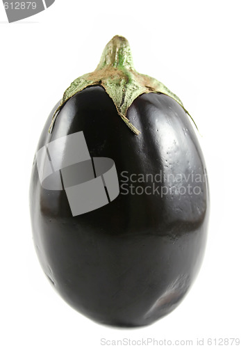 Image of Aubergine