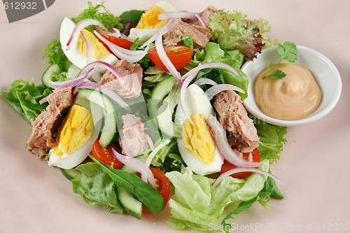 Image of Tuna And Egg Salad 1