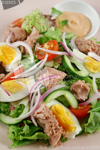 Image of Tuna And Egg Salad 2