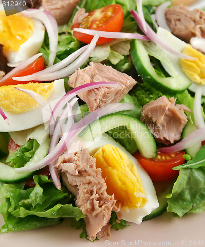 Image of Tossed Tuna And Egg Salad