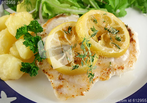 Image of Lemon Perch