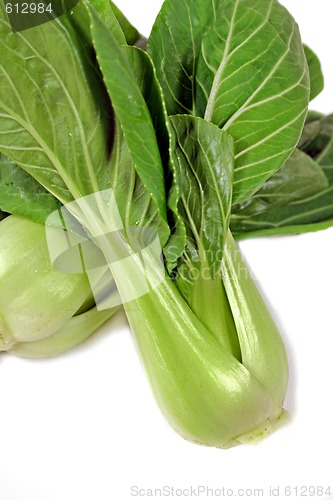 Image of Bok Choy 2