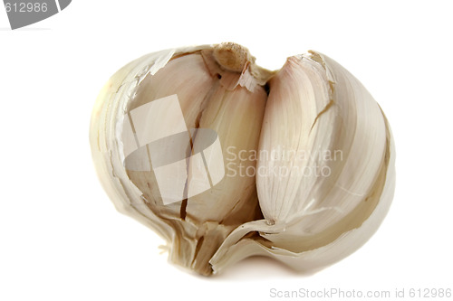 Image of Fresh Garlic