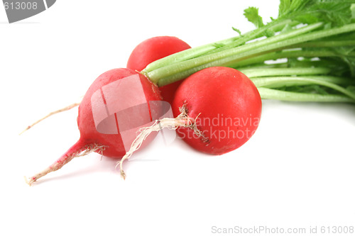Image of Freshly Harvested Radishes
