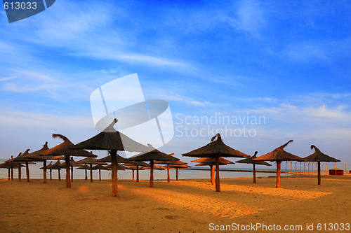 Image of Tropical beach