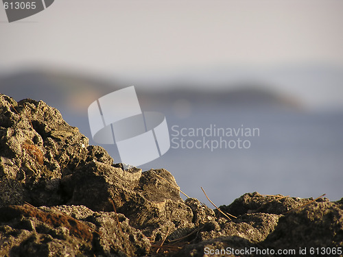 Image of Dirt Soil Rock