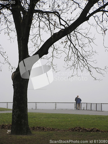 Image of Foggy Walk