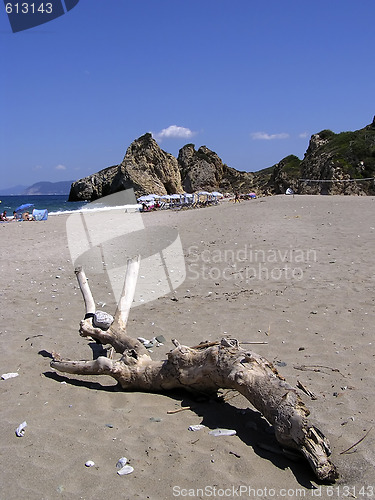 Image of Log At Sandy Beach