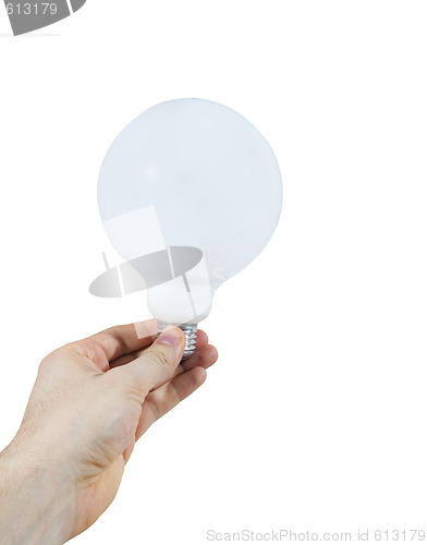 Image of White bulb