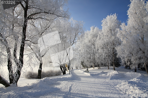 Image of Cold day