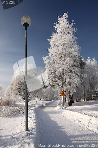 Image of Cold day