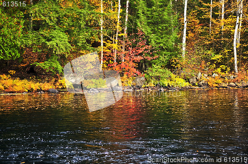 Image of Fall forest and lake shore