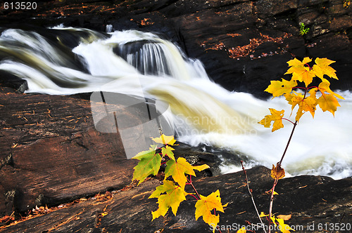 Image of Forest river in the fall