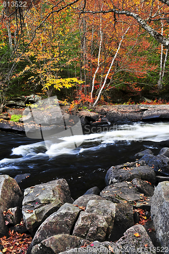 Image of Fall forest and river landscape